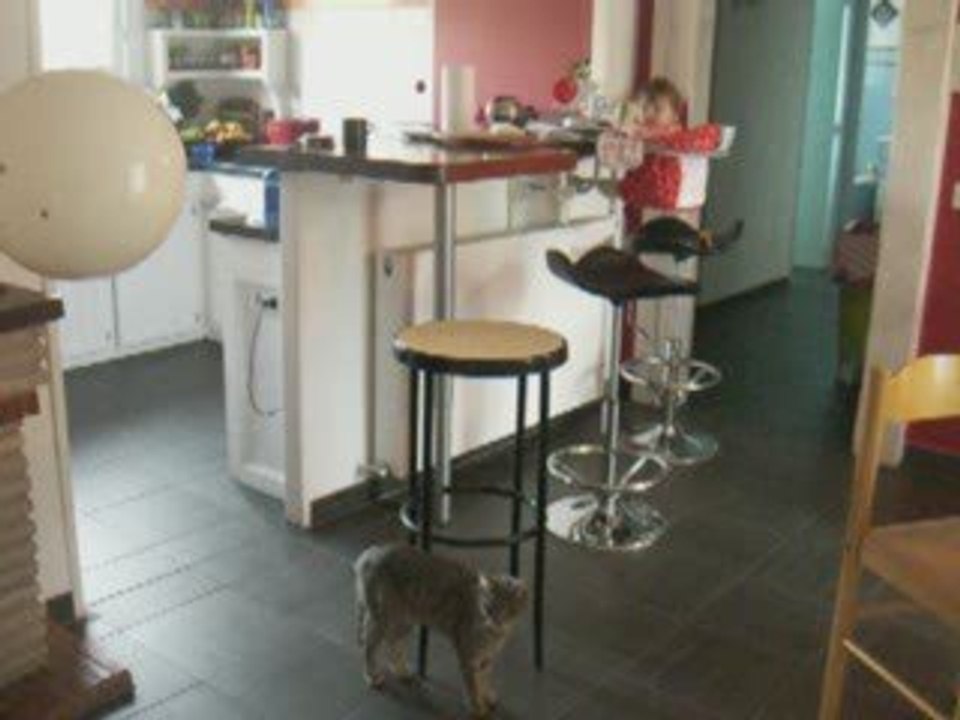 Roxane et le chat