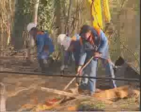 Rénovation des berges du Saussay - Essonne - Itteville