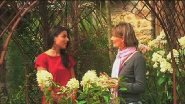 Conseils Jardinage : 4 plantes pour un beau jardin !