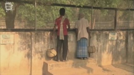 Gavial du Gange (Gavialis gangeticus) 5