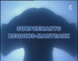 surprenants requins-marteaux (1)