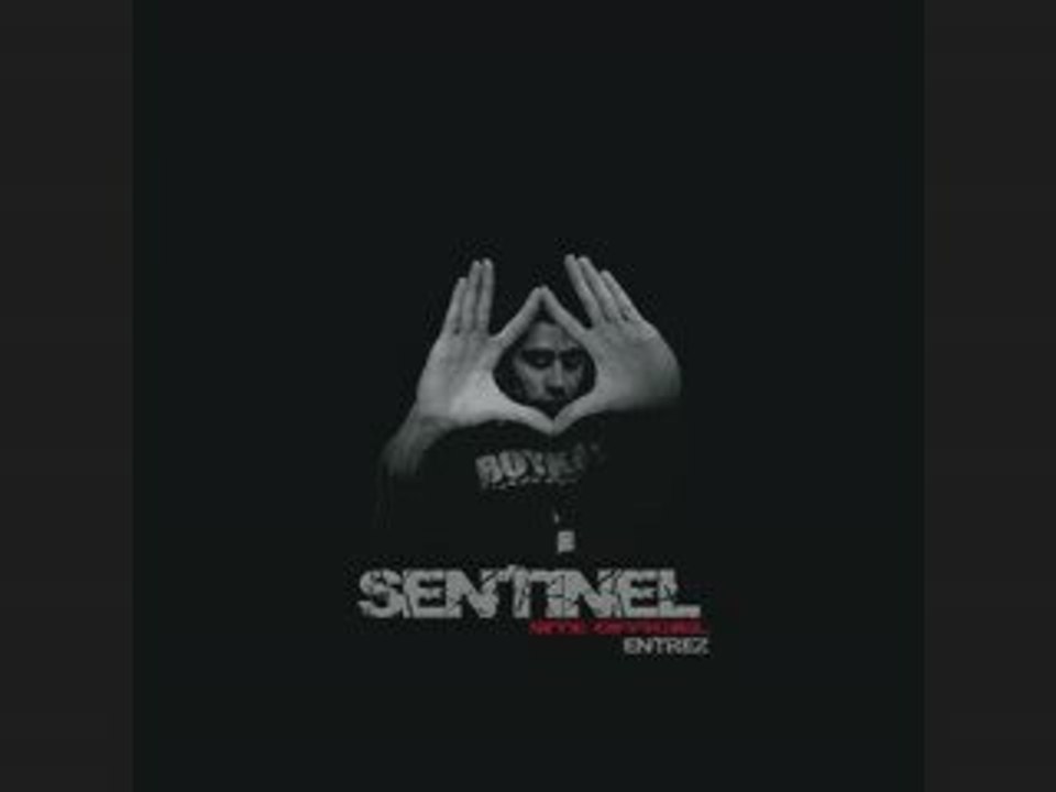 LL SENTINEL   "S.I.M.P.L.E"