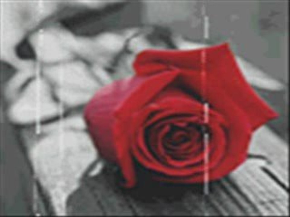 Bilal Khalina Amigo