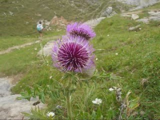 le refuge Jeandel à la Pierre-St-Martin