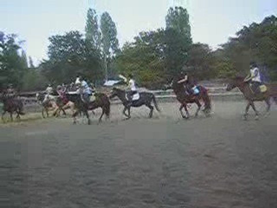 Horse-ball cour de 15h