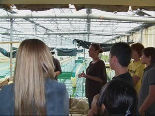 Visite groupe Tamounte  saint joseph avignon ferme spiruline