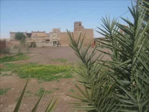 interview RCF pour projet tamounte maroc zaouit sid ahmed