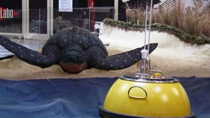 La balise Argos, 30 ans de biiiiiiiip