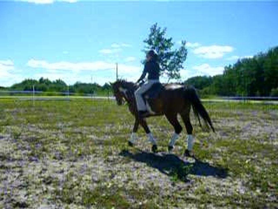 Photo 055