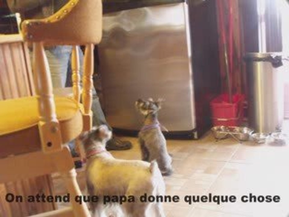 montage gaufrette et patouche