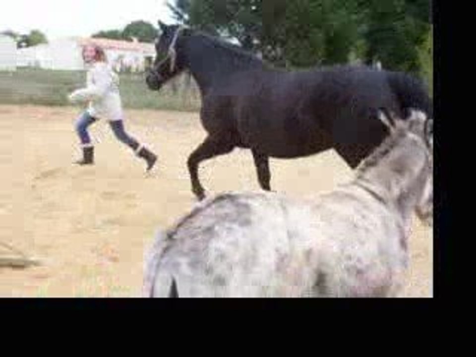 Clara, Casimir, & Paname