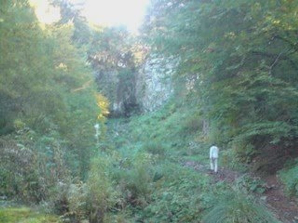 auvergne isere octobre 2009