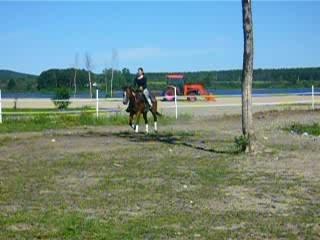 Photo 062