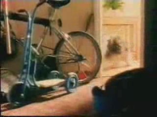 A TV destrói relacionamentos