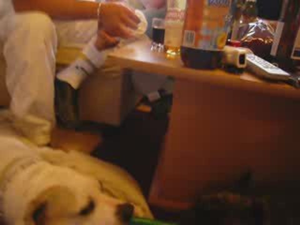 caza vs baggy 2