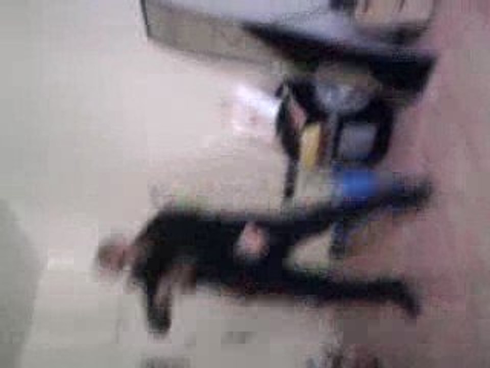 dance de jams browne et jackson
