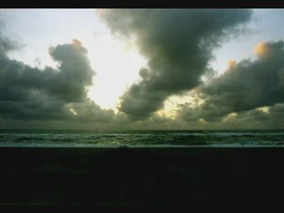 Wolfenmond - wolfszeit