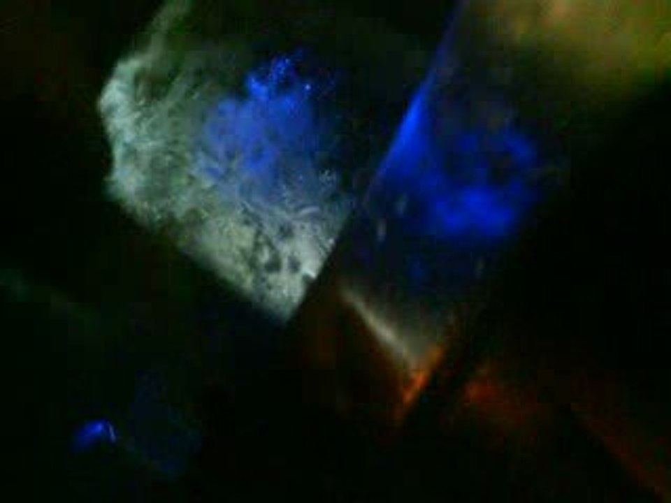 Mdr les 3 son bouré