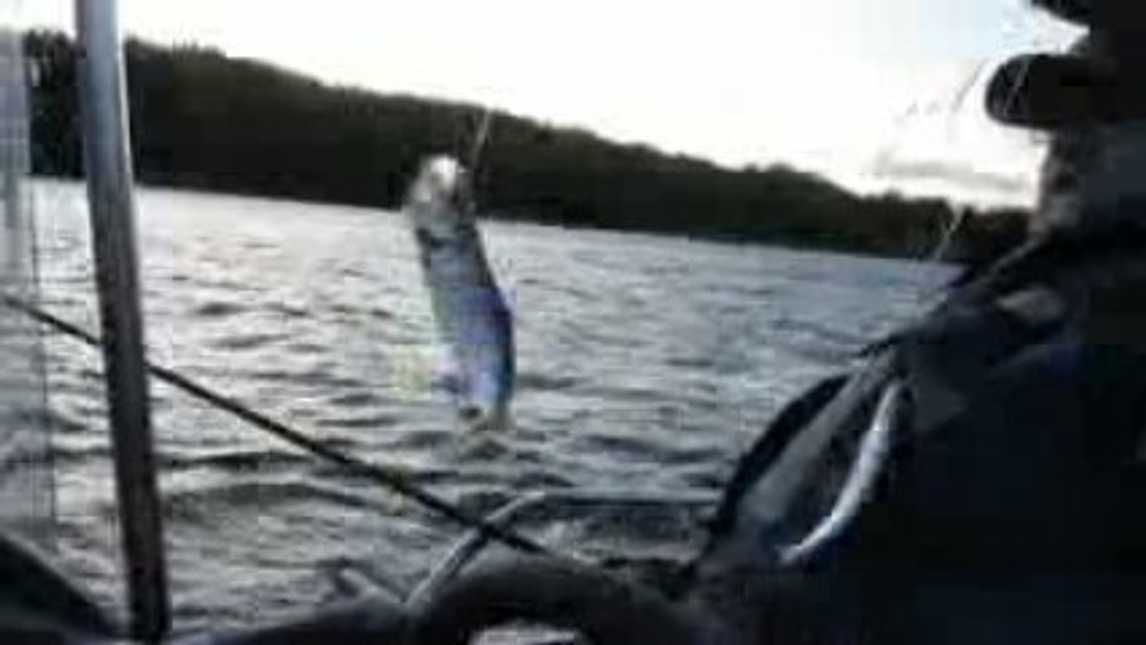 BALIK AVIM 09.10.2009