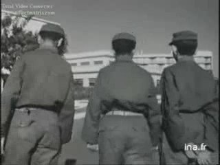 Algerie 1962 enfants de chouhada et chomage