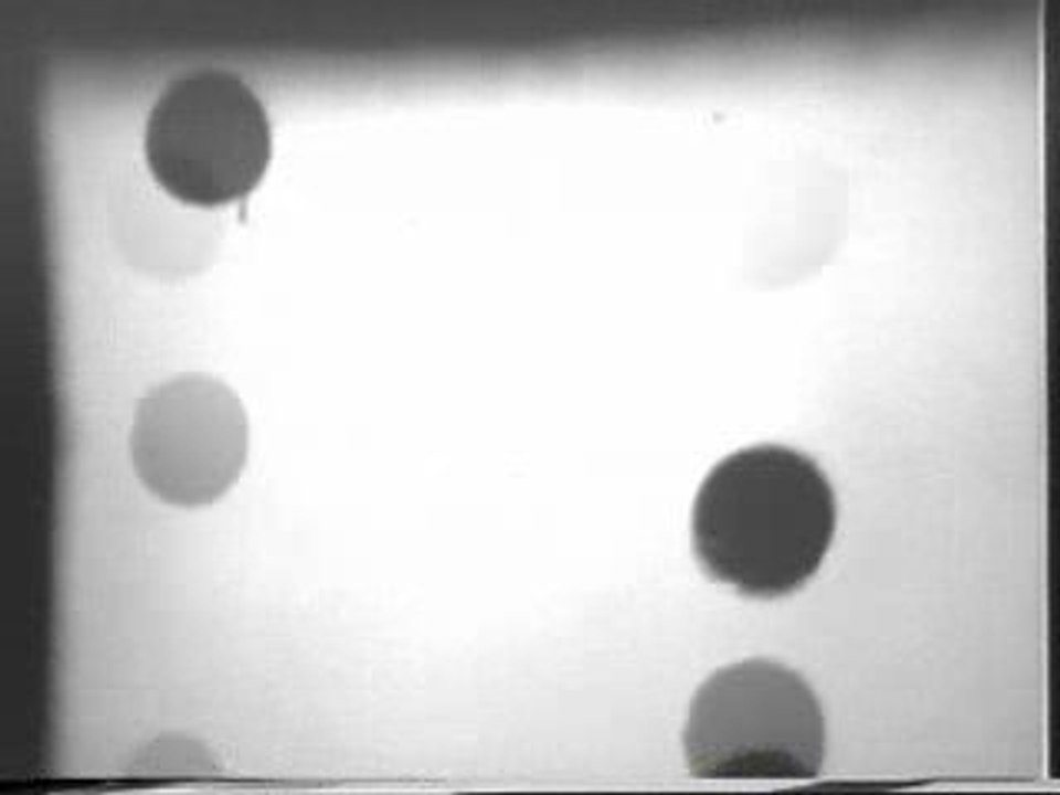 Conrad Schnitzler: Lichtpunkte Und Schwarze Zeichen