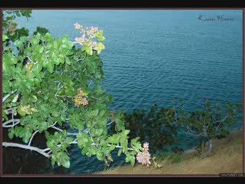 Antep Ovmesi 1 VE Lingo Lingo Siseler