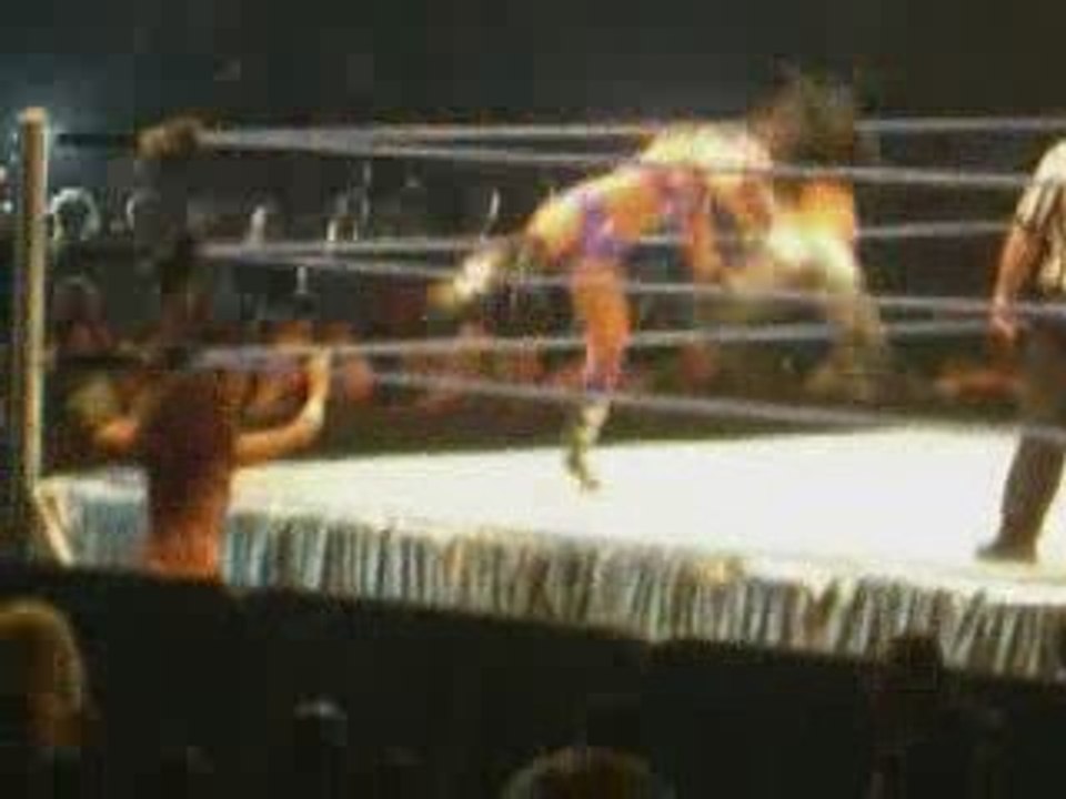 smackdown bercy