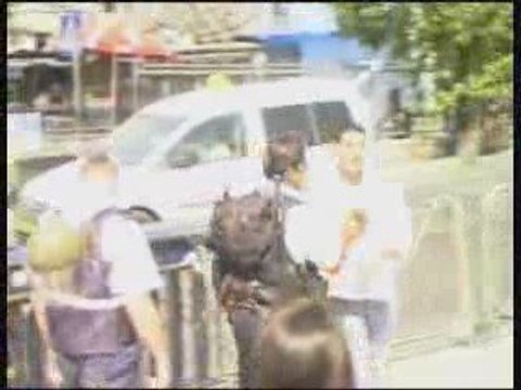 Répression sioniste dans les rues d'Al-Qods occupée