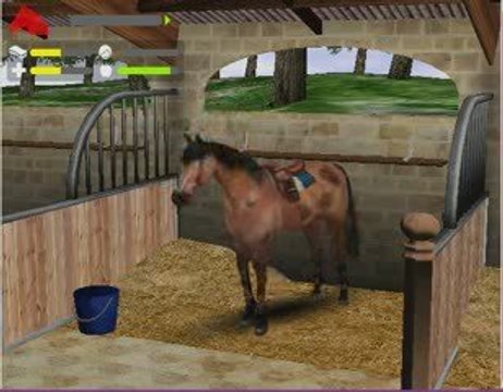 A l'écurie - Mission Equitation Online