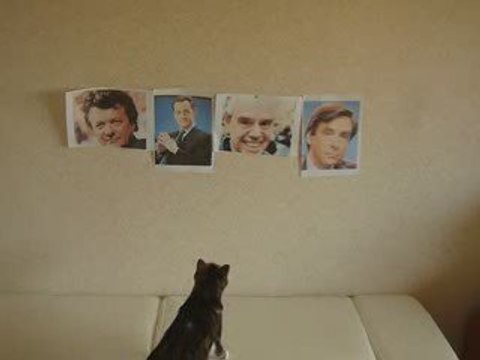 mon chat bien dressé n'aime pas Frédéric Mitterrand !!!