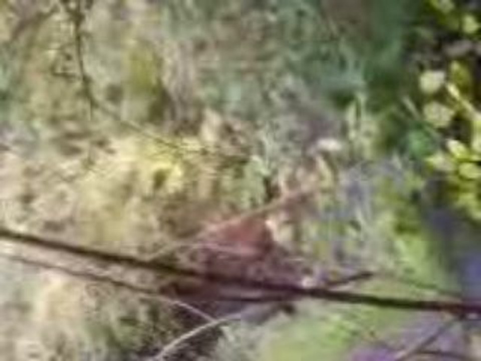 Le couteau #3:La mort