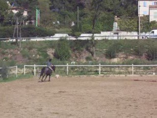 Parcour de 2 obstacles avec Pachou