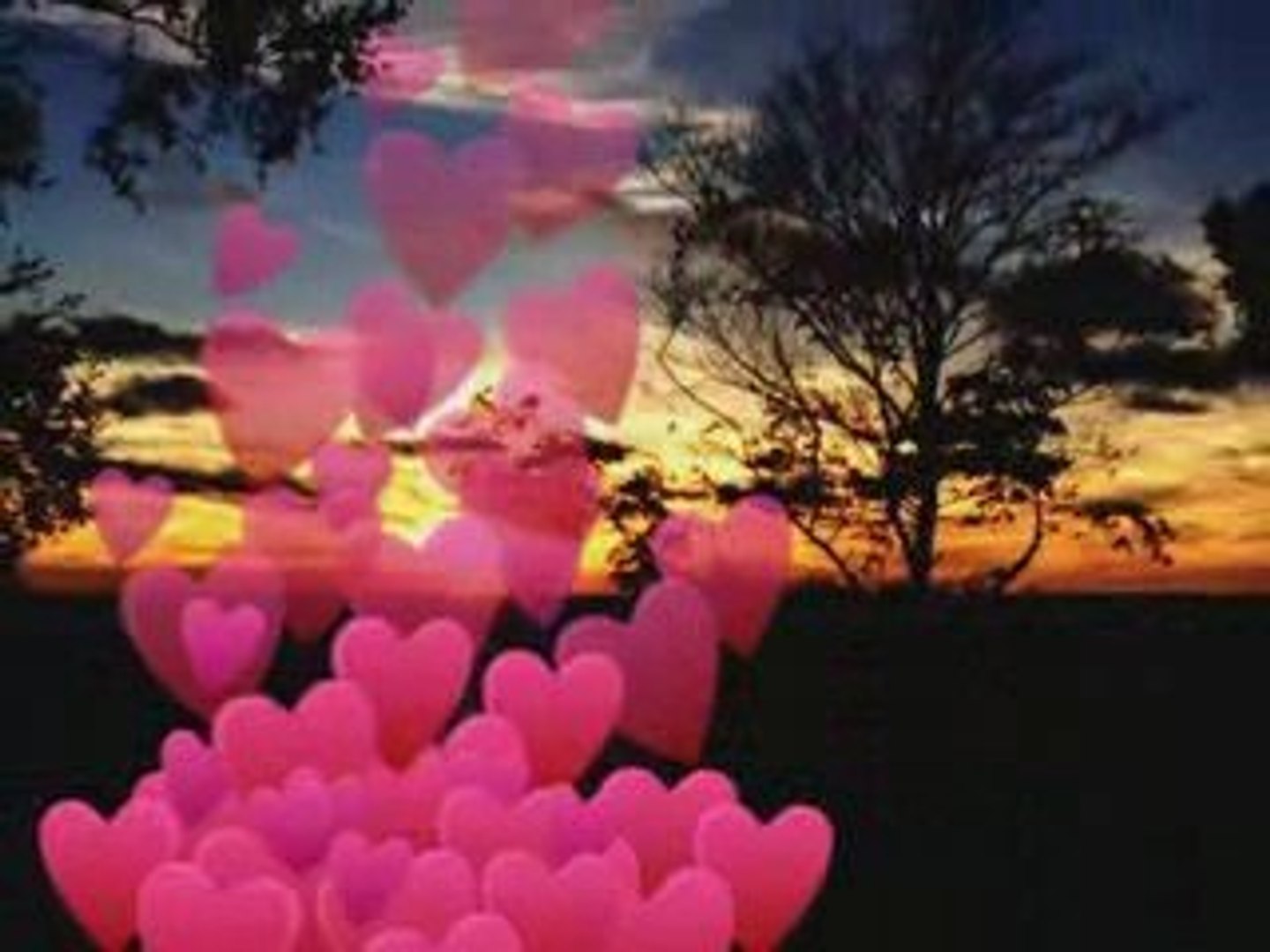 Le Mal D Amour Le Mal De Toi Video Dailymotion