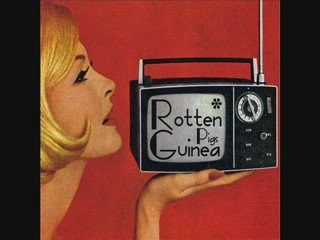 Rotten Guinea Pigs - Got So Many Things