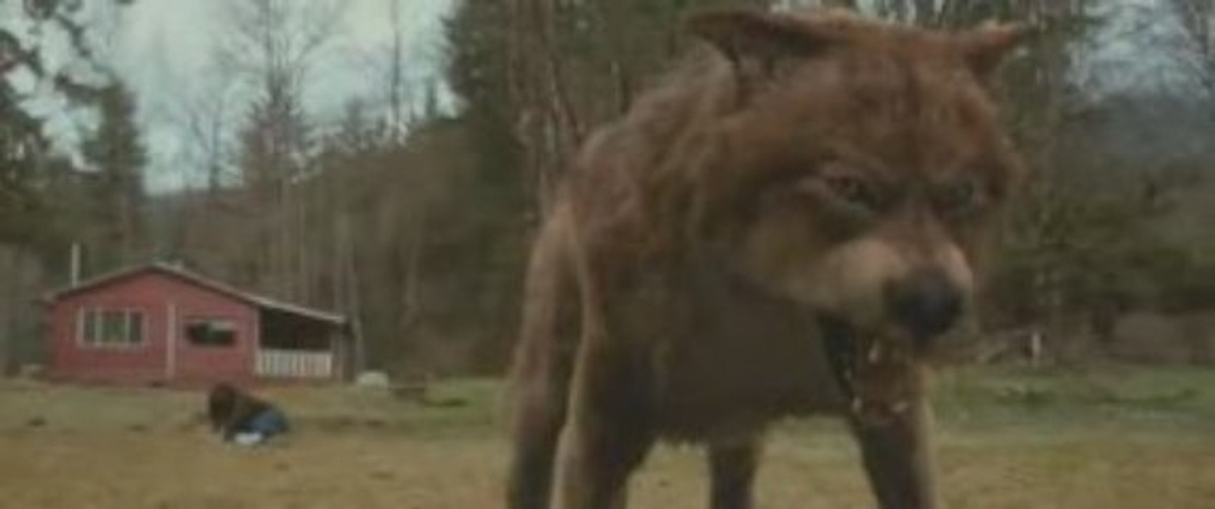 twilight tentation scene inedite