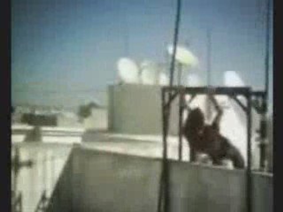 Malik shayaten - Reda ELBOUADLI (Fes)