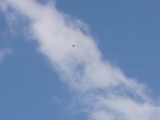 flitework edge 540 redbull tilivet 1