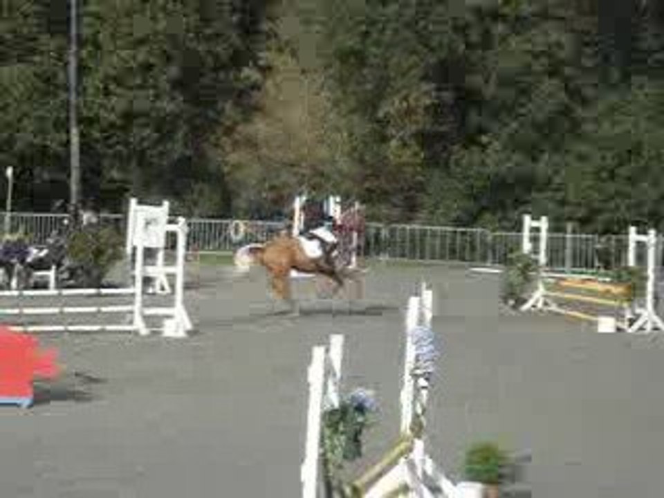 Rockysun de Quillien CSO Carhaix 25 octobre 2009