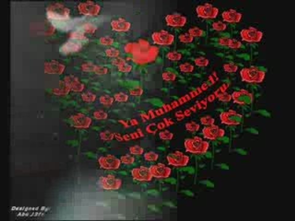 ORHAN TÜRK - AŞK MEYDANI - HACILAR PRODUKSİYON - 2009