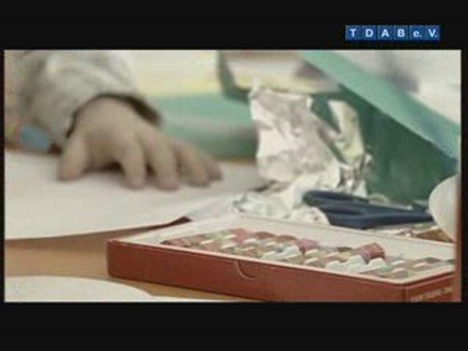 Türkisch-Deutscher-Akademischer Bund e.V Vereinspräsentation