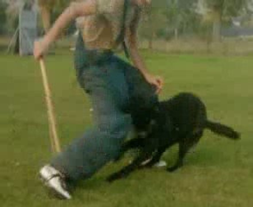 Enfer FDG attaque de face!