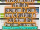 Review of the Best Forex Trading Affiliate Network Pro