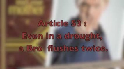 The Bro Code Project - Article 53