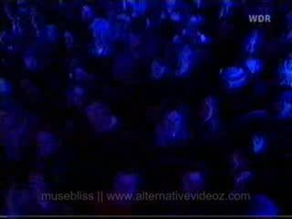 Muse - Hysteria (Live)