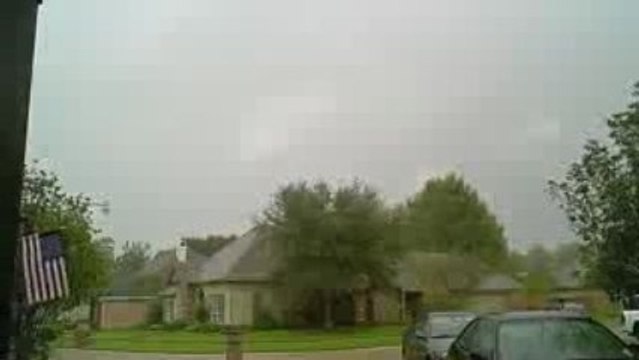 The TREES are FALLING! [10/9/09] - 170