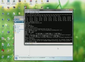 Private Server Kurulum ./start hata