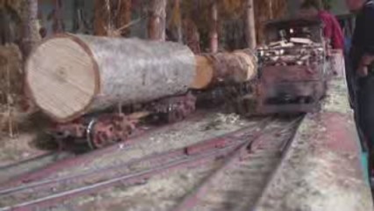 Réseau forestier G