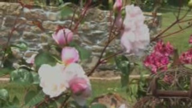 Domaine de Moulin Mer, chambres d'hôtes de charme bord mer