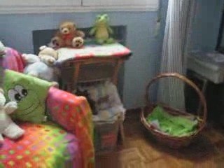 Alzes dos años después