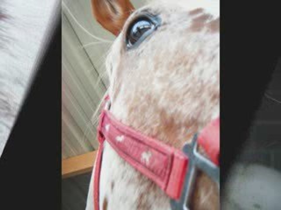 Séance photos de Sulliman